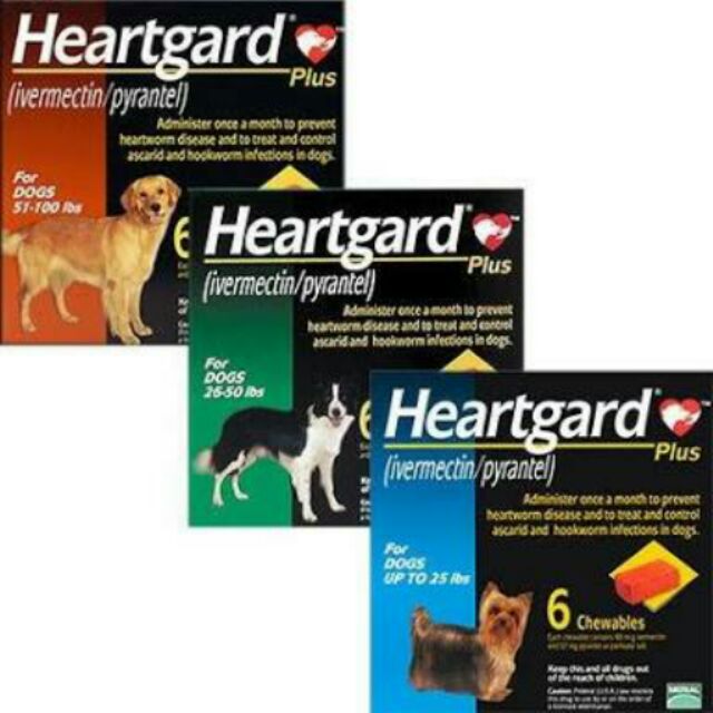 ivermectin for worms in dogs