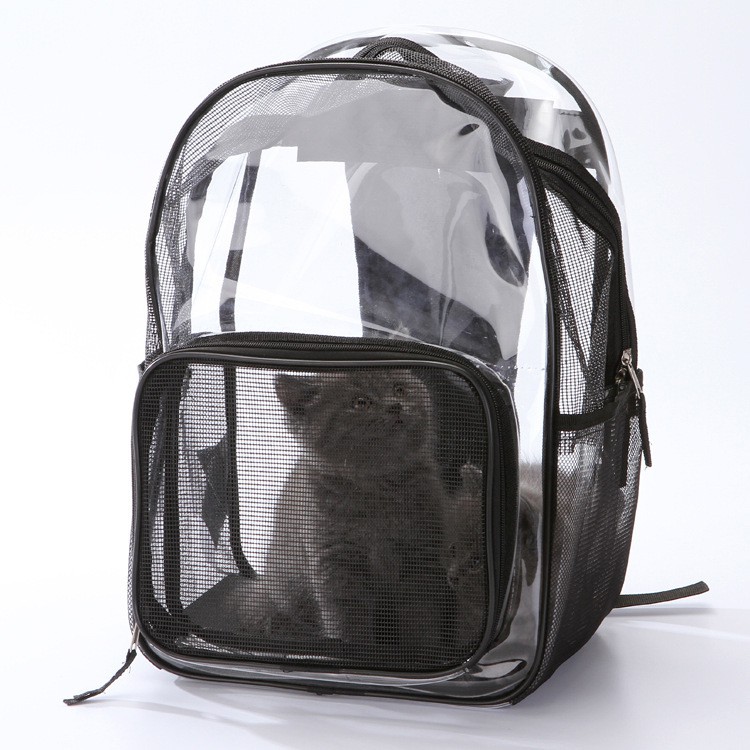 black transparent backpack