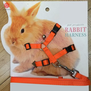 bunny leash