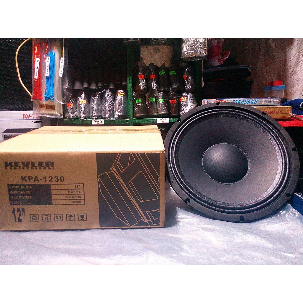 qualimate 12 inch karaoke