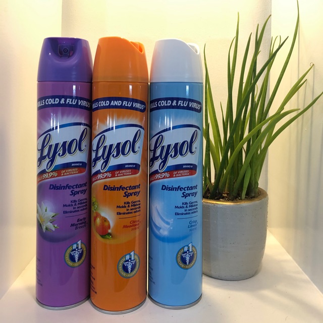 Lysol Disinfectant Spray (340g/510g) Shopee Philippines