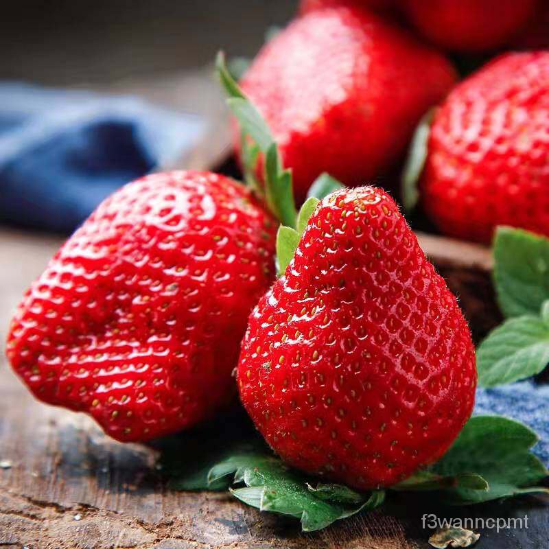 SeId 1000 Pcs/pack Hybrid Strawberry Seeds for Planting Fruits Sweet
