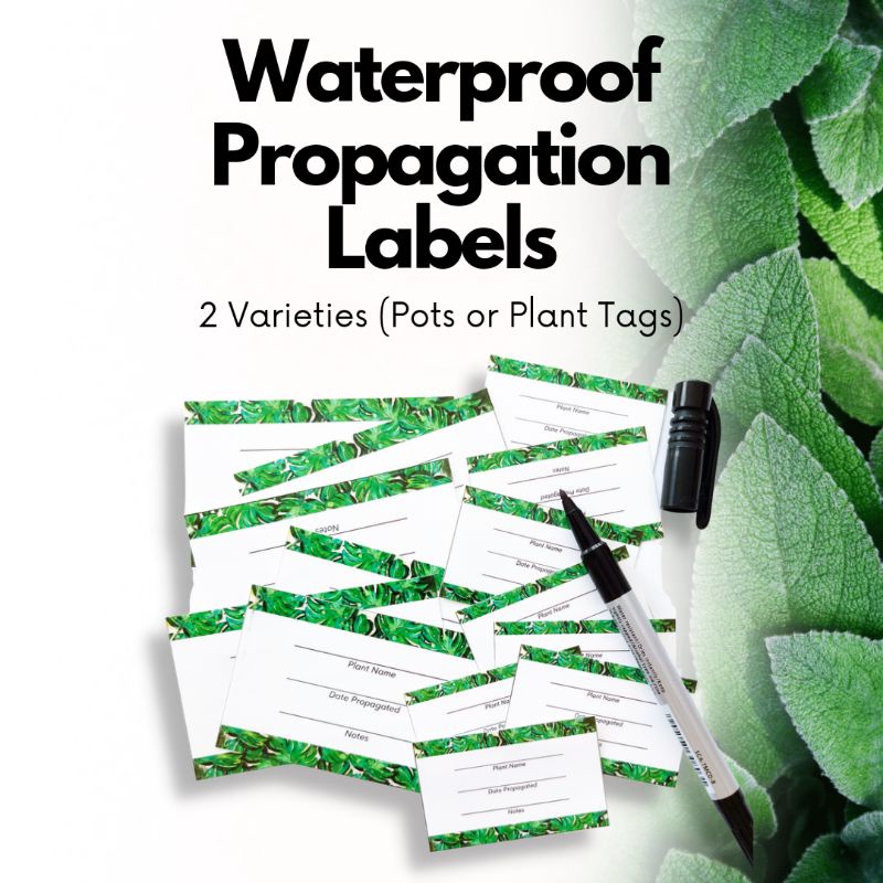 Label Propagation Paper _ Label Propagation Based on Bipartite Graph ...