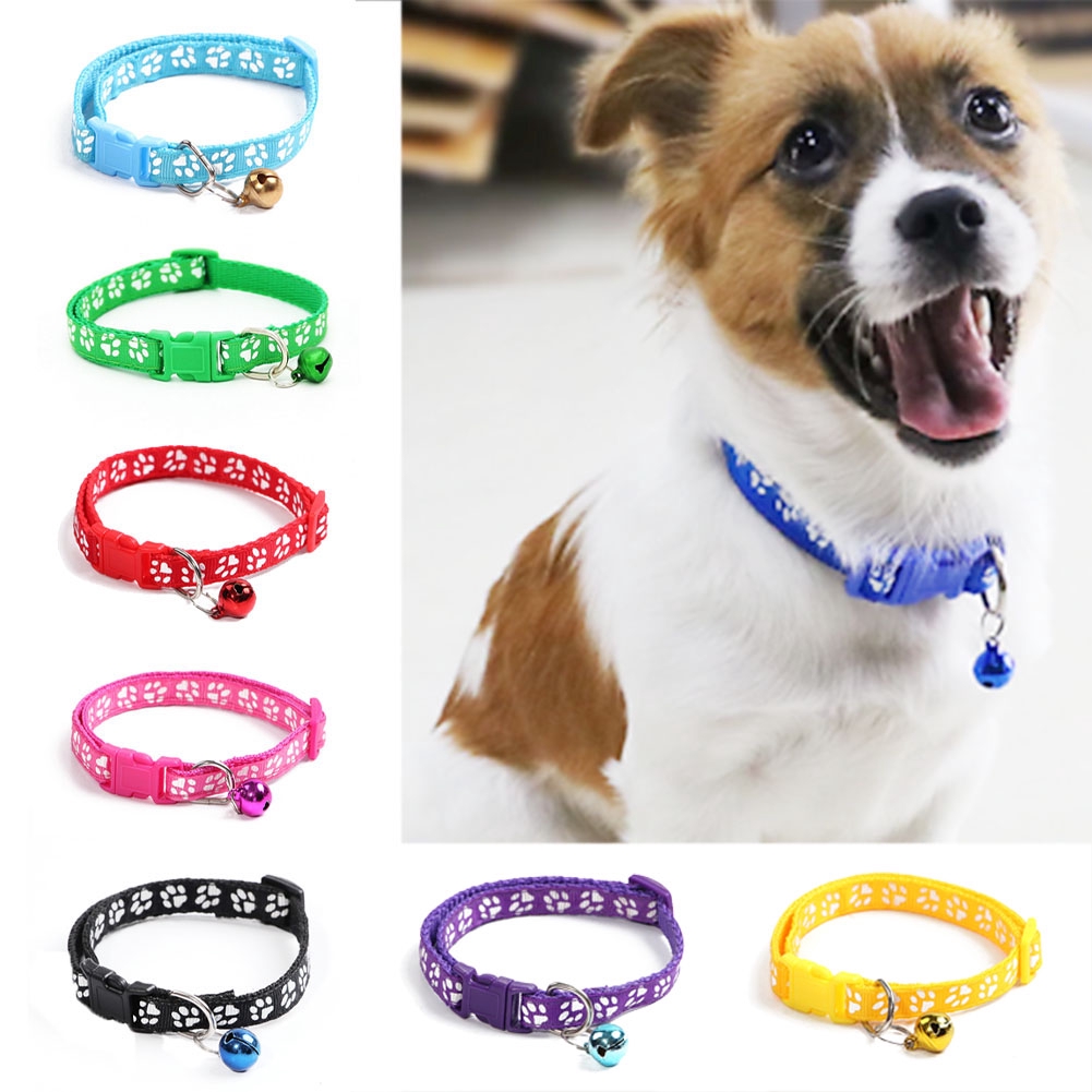 puppy collar with bell