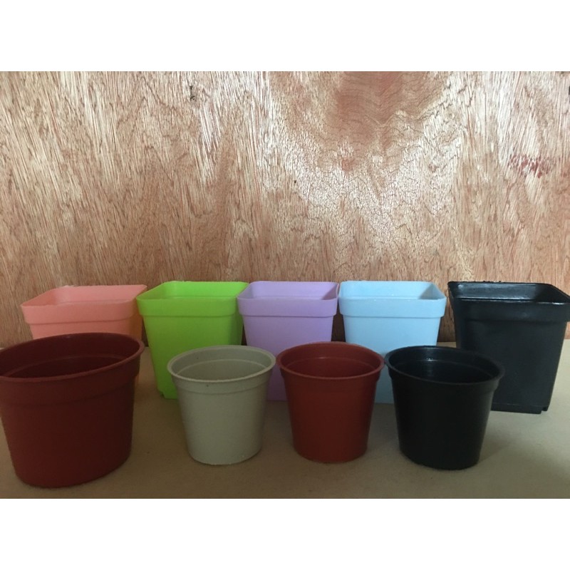 small/mini plastic pots random color Shopee Philippines