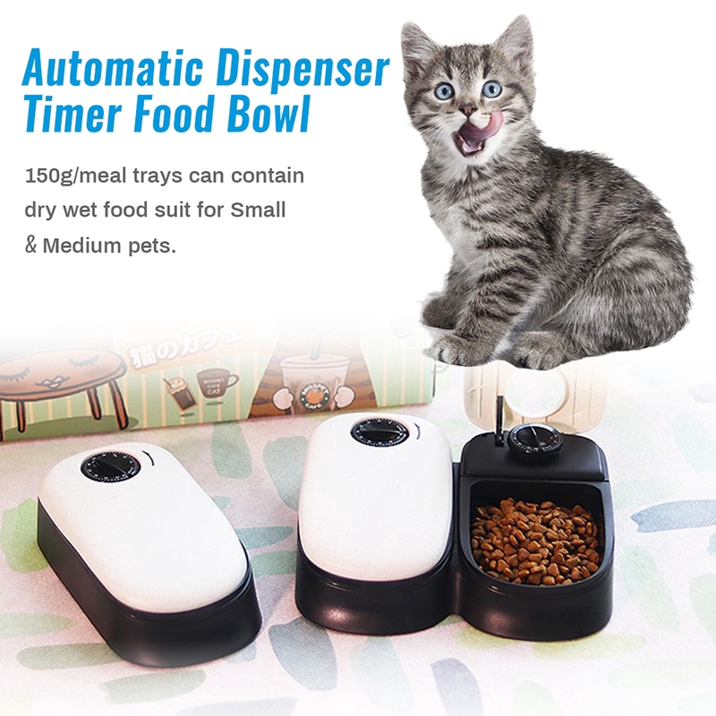 cat food timer feeder