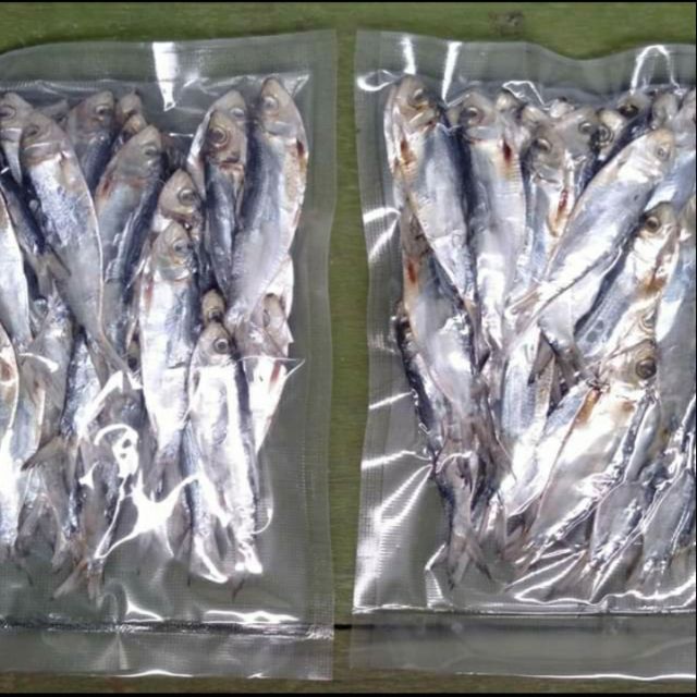 本格派ま！Dried Lapad Fish Tuyo Chicharon Laman 魚介類(加工食品