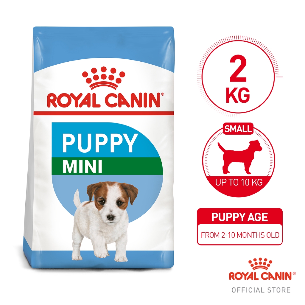 Bouwen op Cumulatief Kalmte Royal Canin Mini Puppy Dry Dog Food (2kg) - Size Health Nutrition | Shopee  Philippines