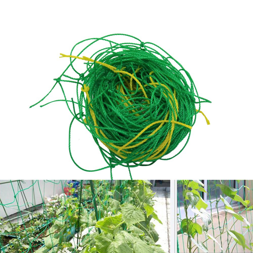 Nylon Trellis Netting Climbing Plant Support Nets Vines Grow Fence 4