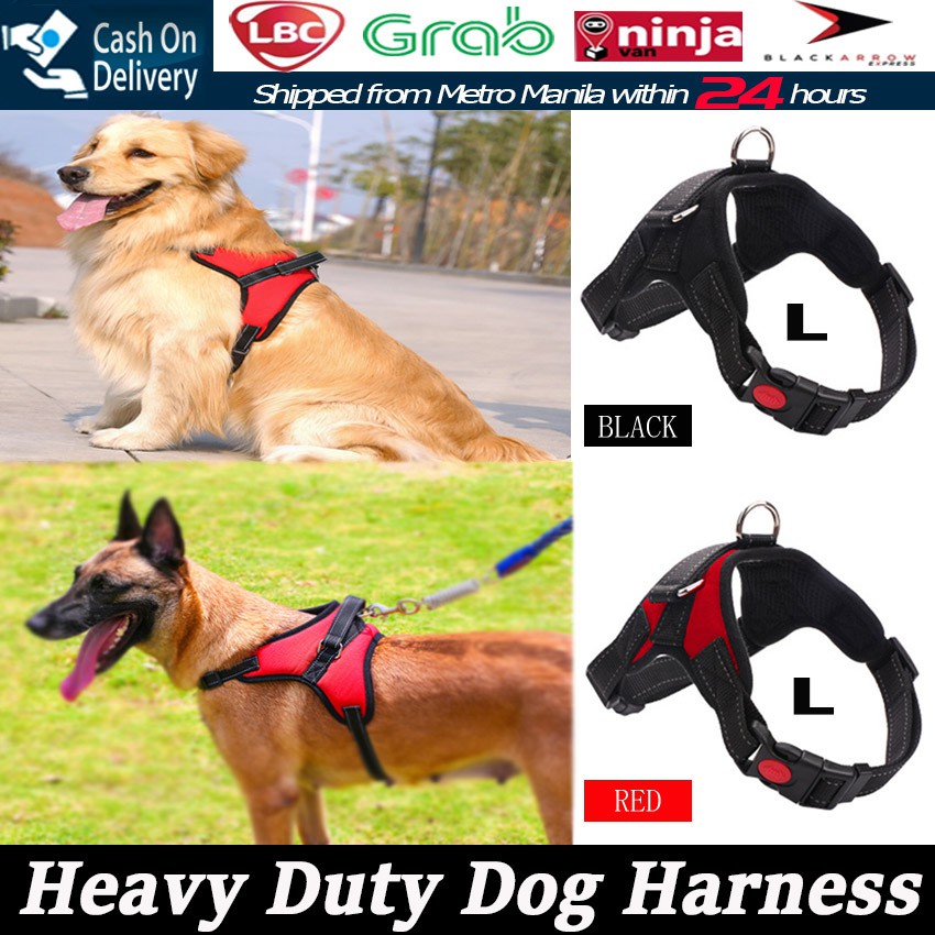 Dog Harness Leash Adjustable Straps 