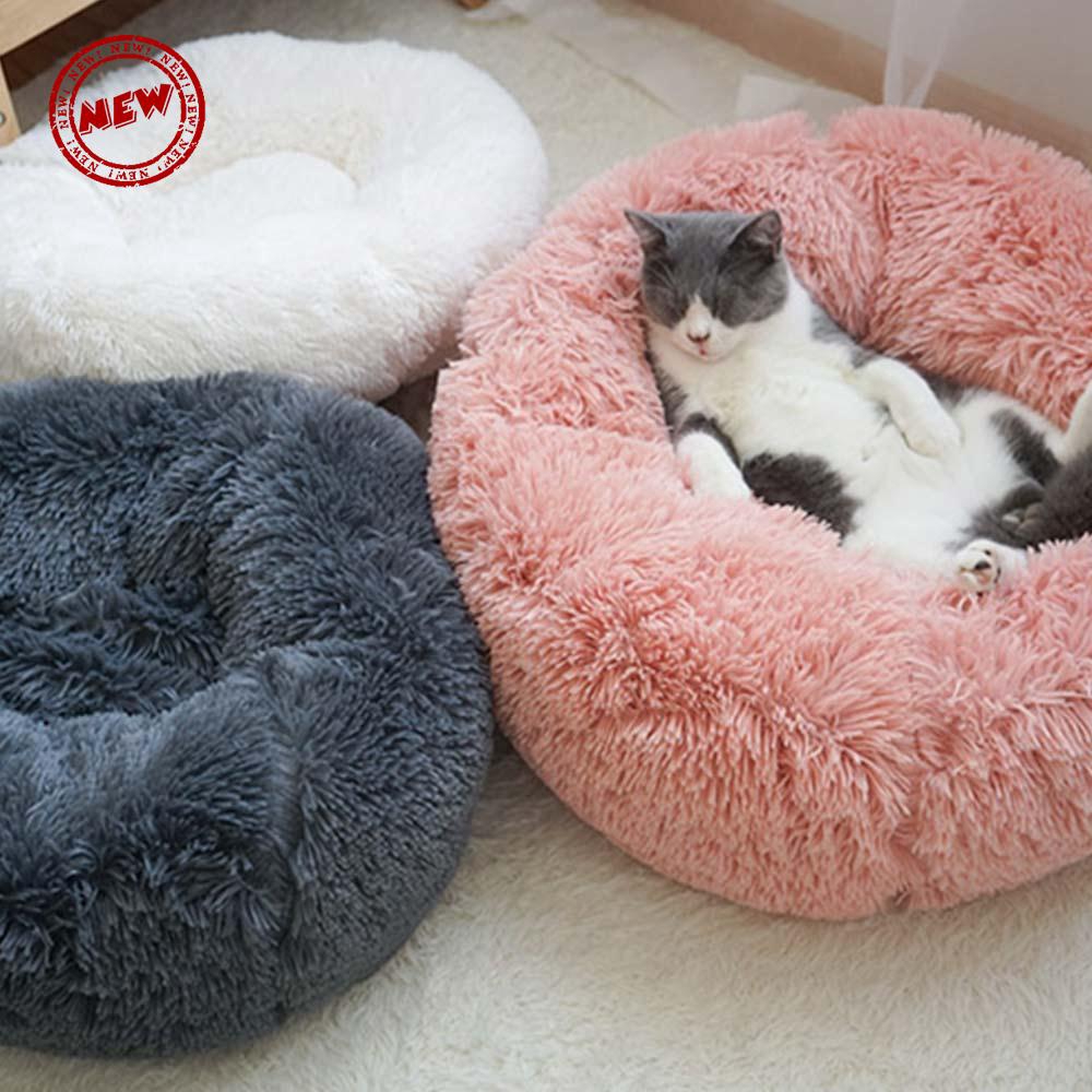 dog bed shopee