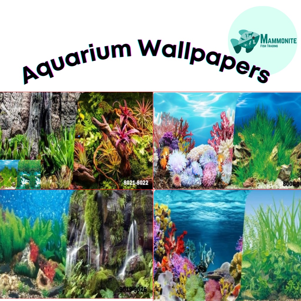 Aquarium Tank Wallpaper Background 12 & 18 Inches PER METER PRECUT Back To  Back Design | Shopee Philippines