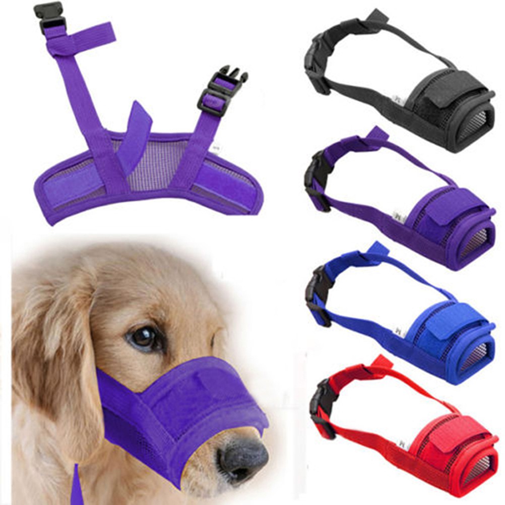 dog muzzle for grooming