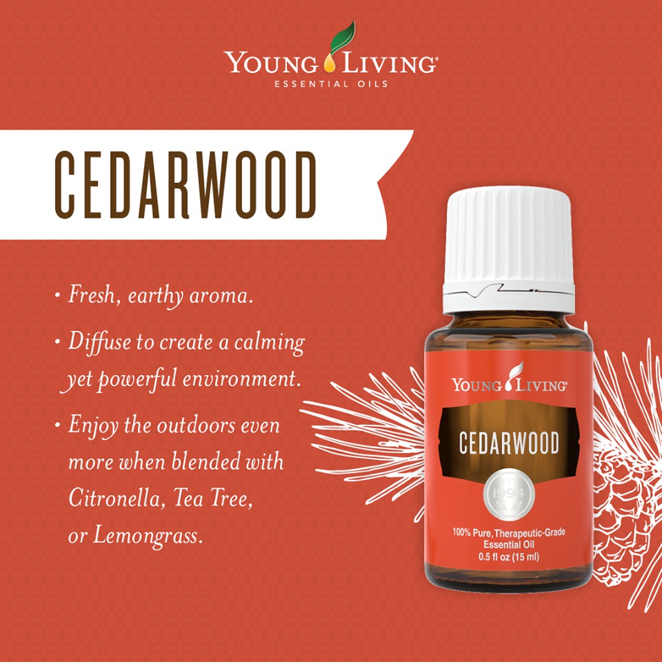 Essential oil cedarwood Proven Uses