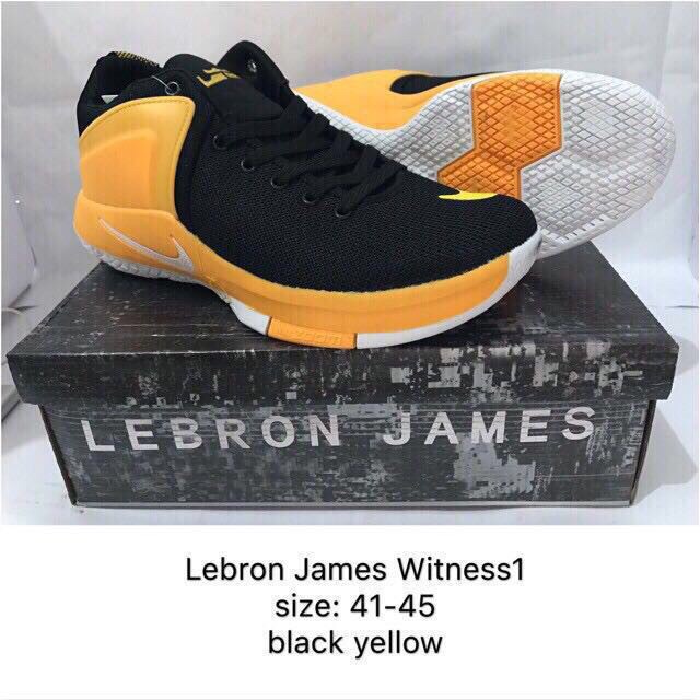 lebron james basketball shoes