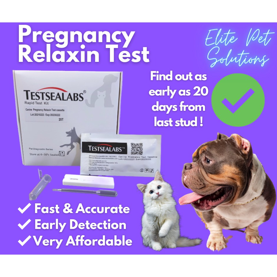 is there dog pregnancy test