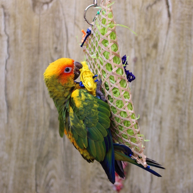 cockatiel foraging toys