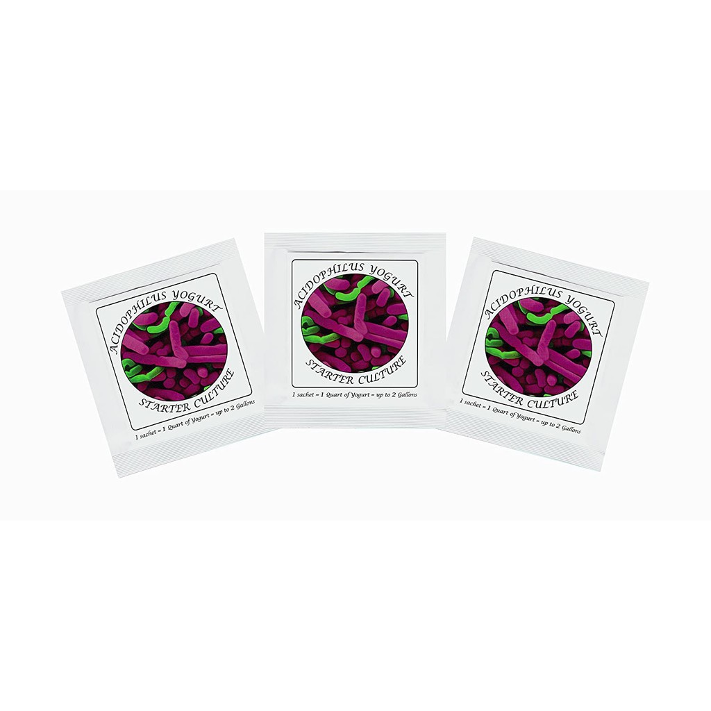 Yogurt Starter Cultures Pack of 3 Freezedried Culture Sachets for