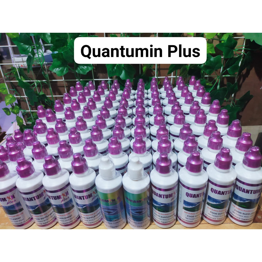 What Are The Ingredients In Quantumin Plus? – MSTN
