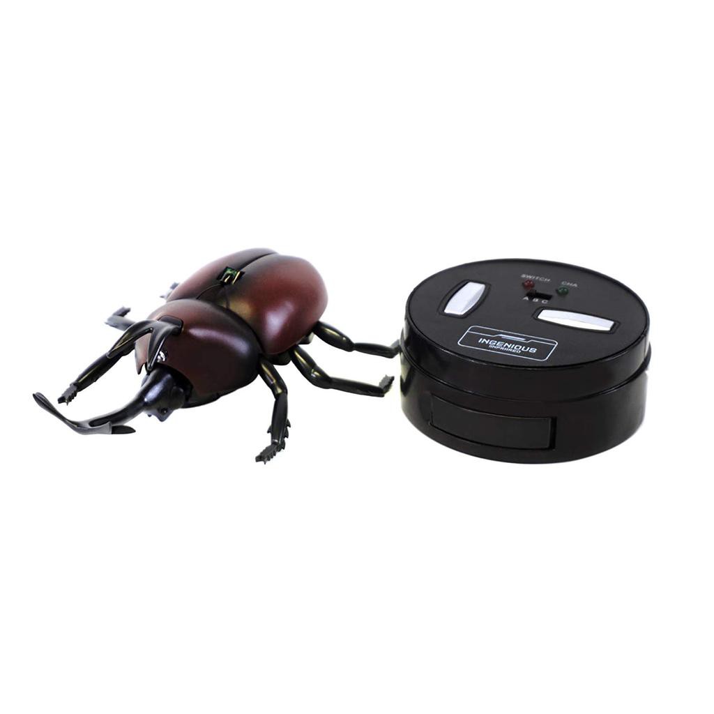 rhino beetle toy