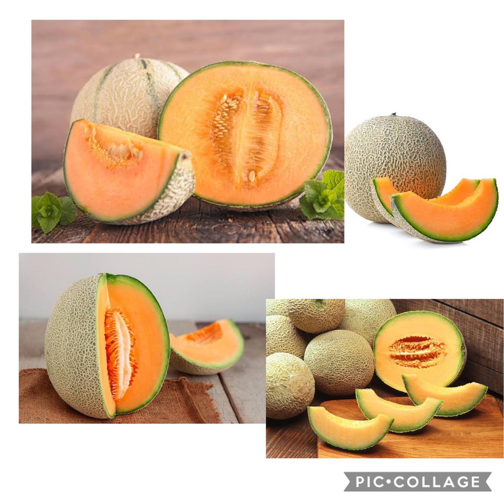 Hami melon10 Seeds
