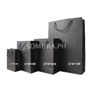 Download White matte laminated rope handle paper bag Sold per pc (SSC164) | Shopee Philippines