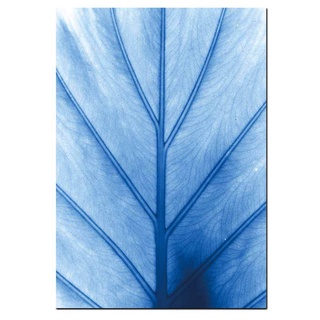 Cool Color Blue Tone Modern Art Canvas Painting Home Decoration Flower Dandelion Waves Room Wall Decor Machine Spray Canvas Painting Unframed #6