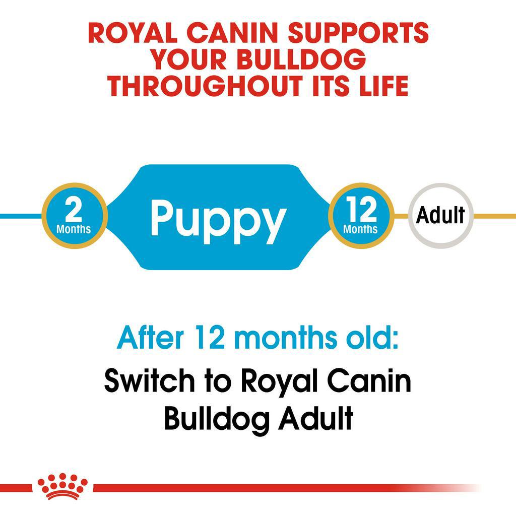 Royal Canin Bulldog Puppy Dry Dog Food (3kg) - Breed Health Nutrition #3