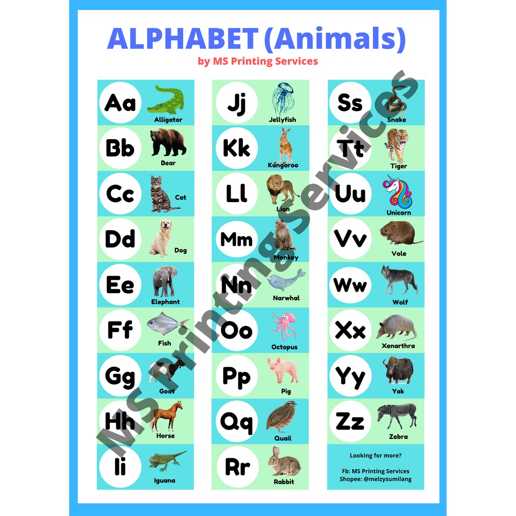 Laminated Chart Alphabet Animals Shopee Philippines