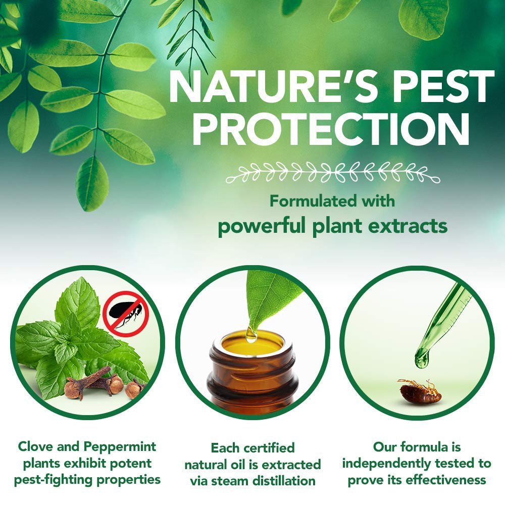 vet's best flea and tick home spray for cats