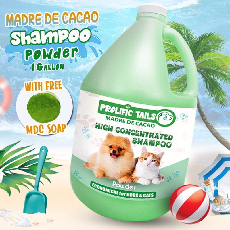 Is Cat Shampoo Safe For Dogs