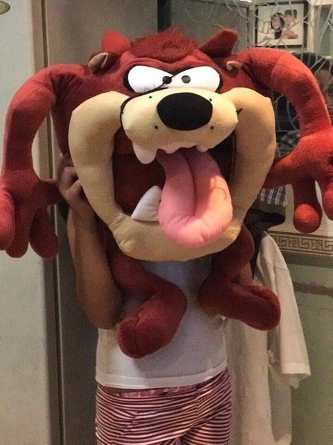 tasmanian devil stuffed toy