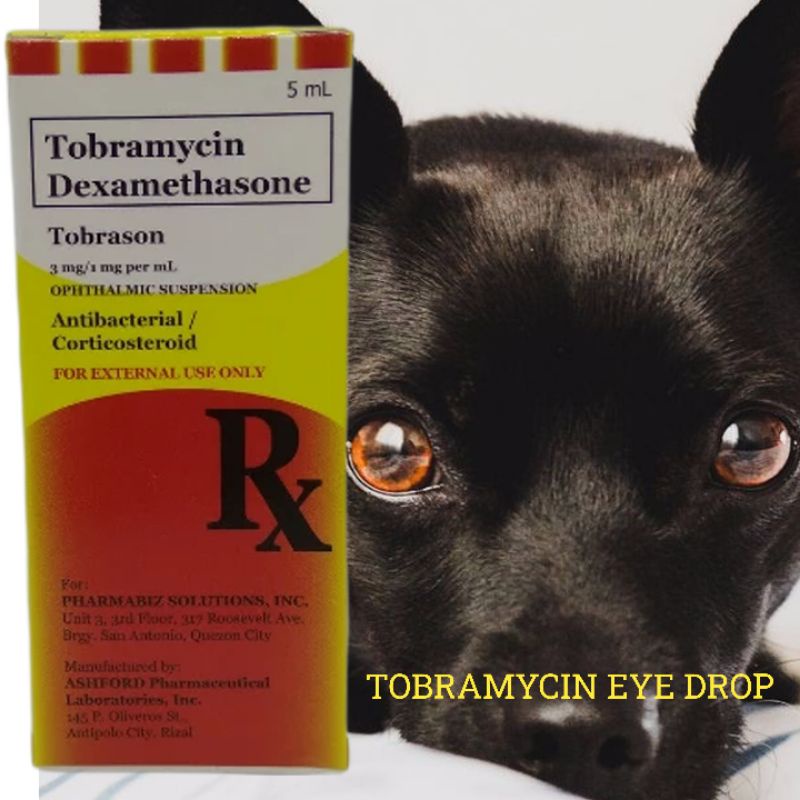 Tobramycin pet's eye drop (tobrason) Shopee Philippines