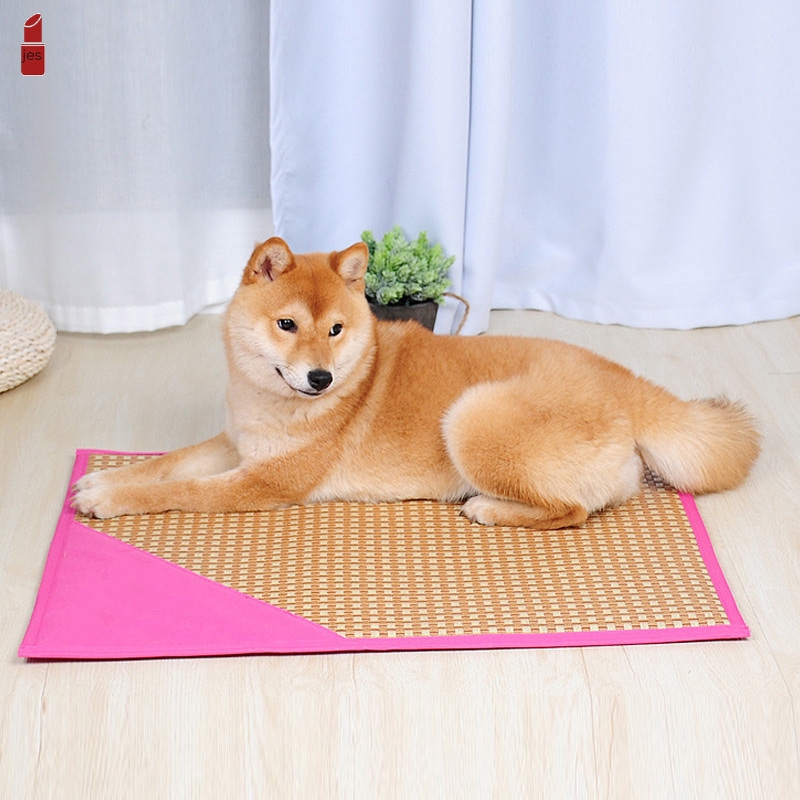 cool summer dog beds