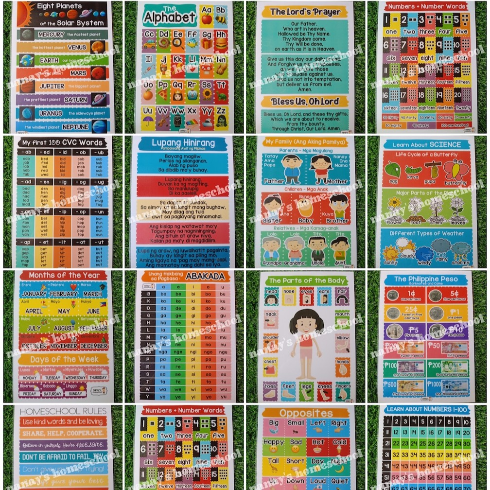 Laminated educational wall charts for kids a4 best quality original