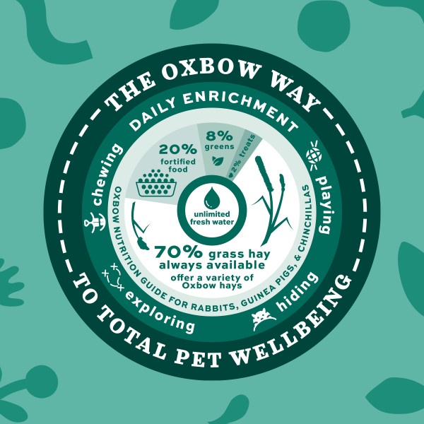 【Ready Stock】(4lb/5lb) Oxbow Rabbit Pellet Food | Essentials & Garden Select #8