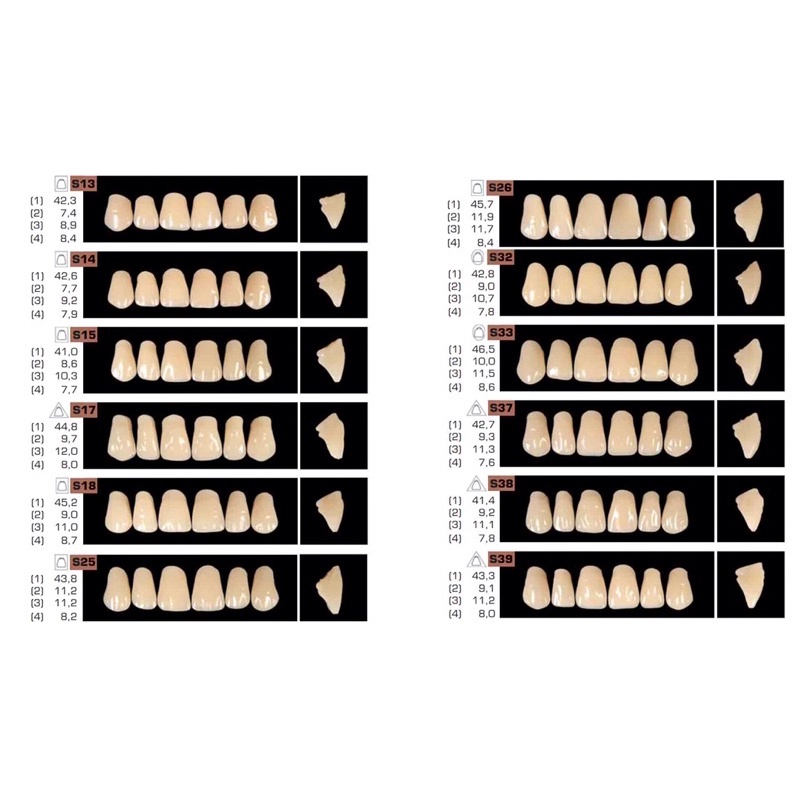 [ONHAND] Acry Rock Acrylic Teeth Dental Pontics (U/L Anterior) | Shopee ...