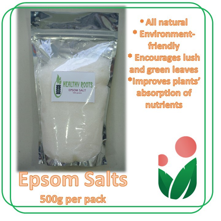 EPSOM SALTS (500g and 1kg per pack) Shopee Philippines