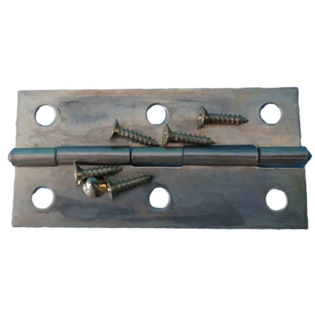 BRASS HINGES 2" x 3" WITH 6 SCREW ( PRICE PER PIECE ) HINGE Shopee