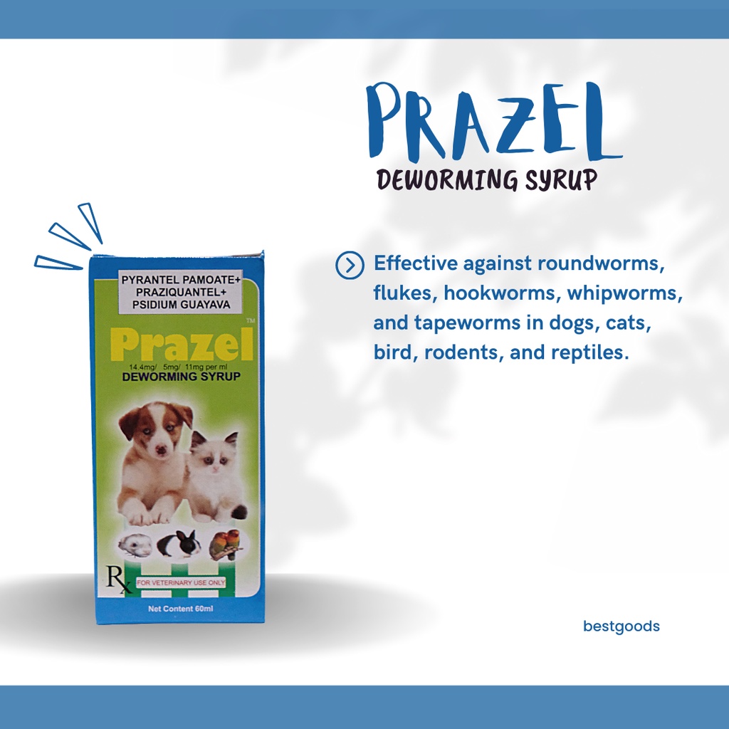 PRAZEL Deworming Syrup (60 mL) Shopee Philippines