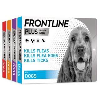 FRONTLINE Plus For Dogs and Cats BOX OF 3