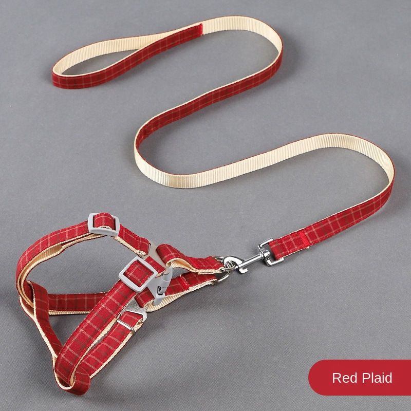 rope leash for small dogs