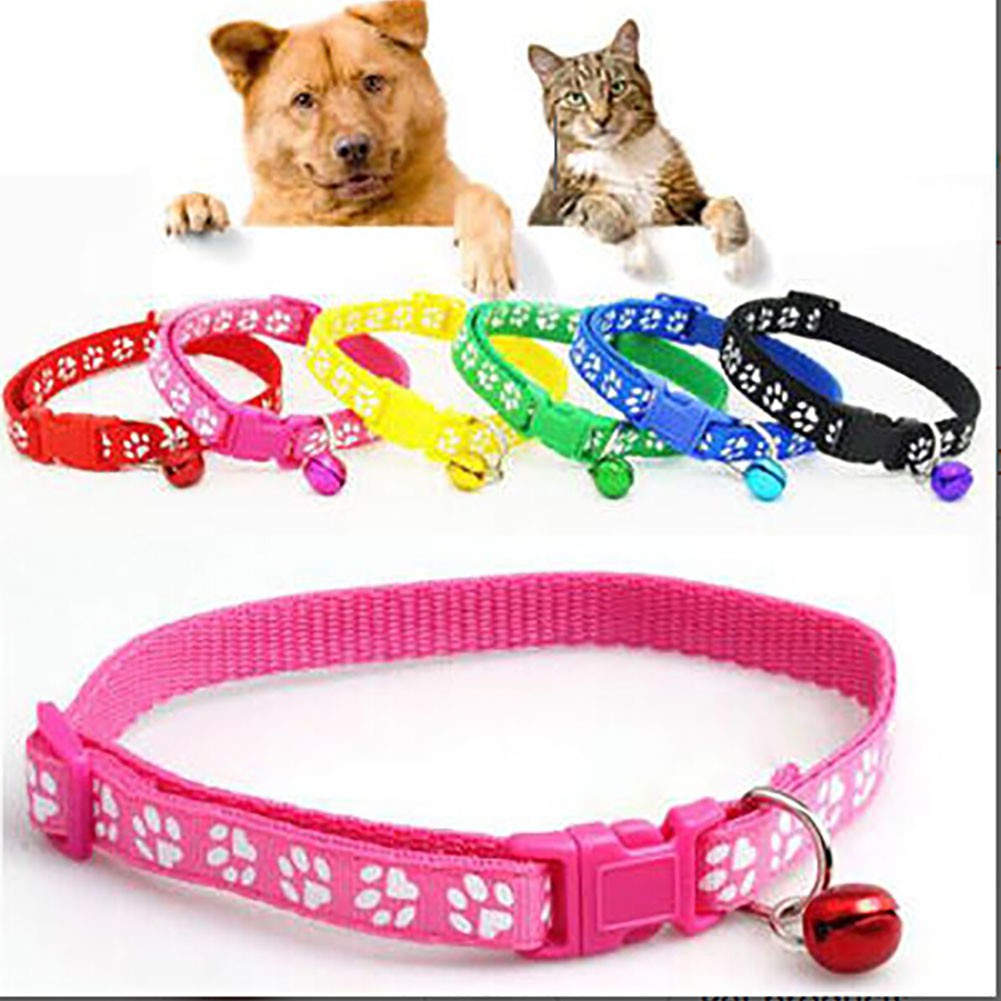 fashion dog collars and leashes