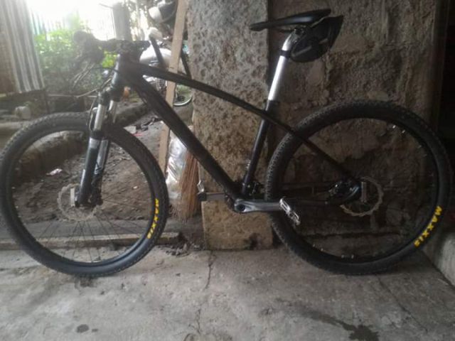 cole brontes 27.5