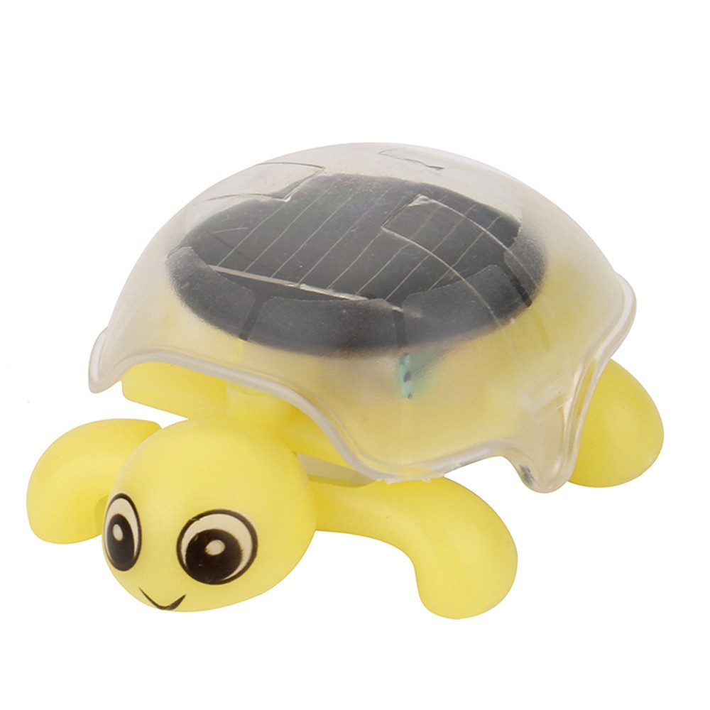 brain educational toys