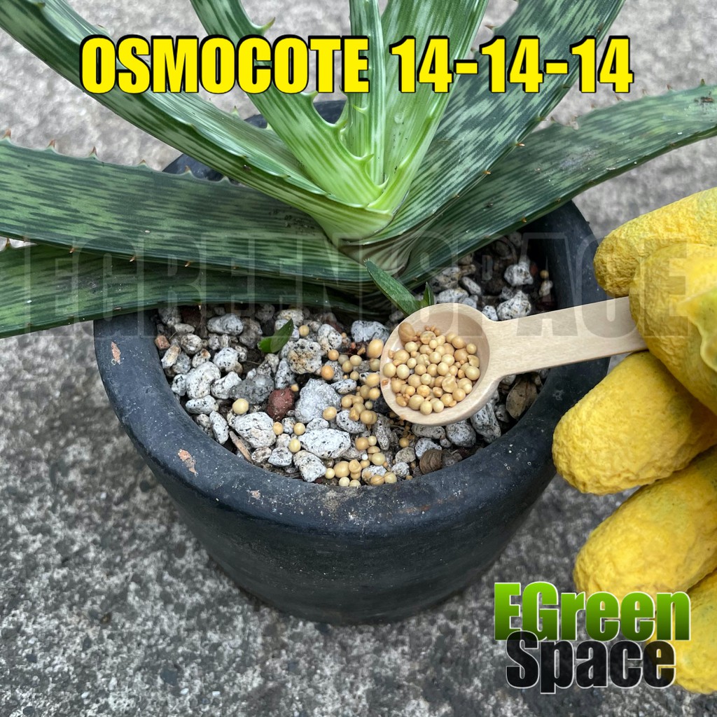 OSMOCOTE for cactus and succulents 25g (Japan, not local) Shopee