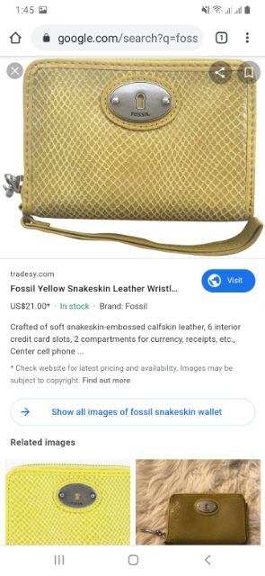 fossil snakeskin purse