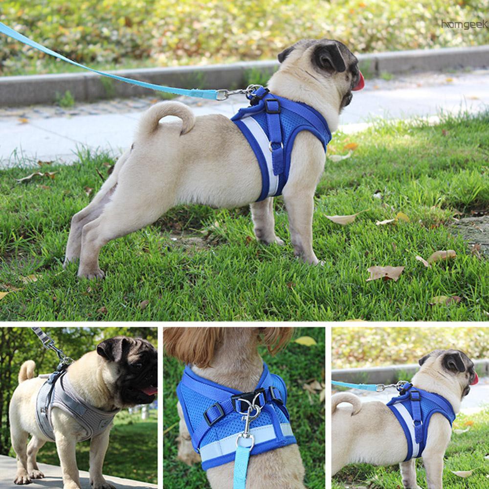 hot dog harness