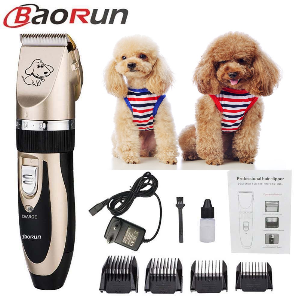 poodle grooming clippers