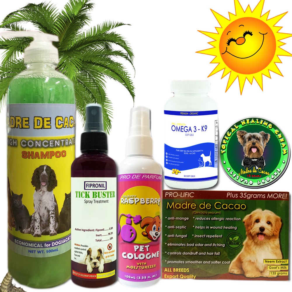 all for dogs pet services